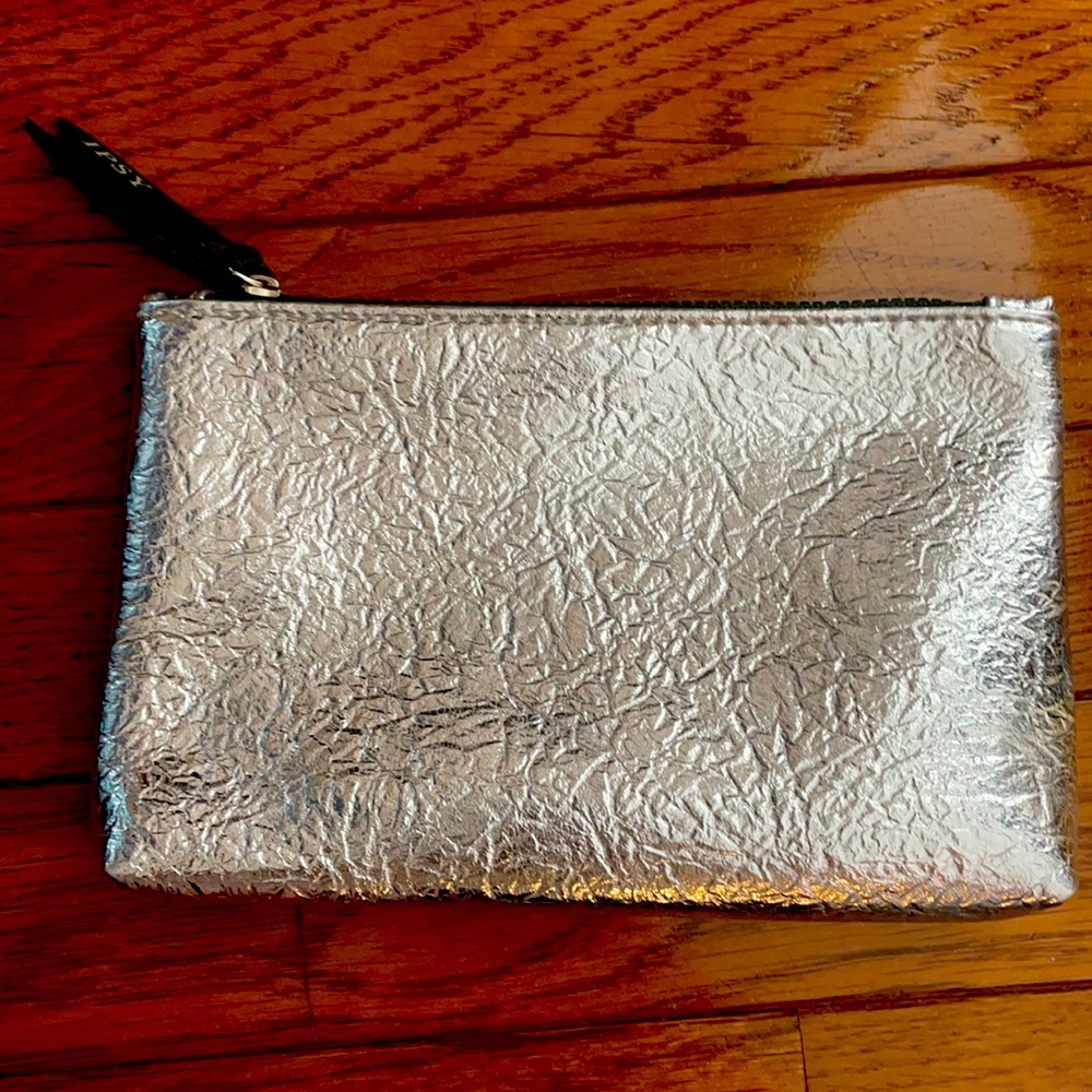Metallic Silver Ipsy Makeup Bag